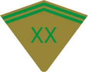 pattesinfleg